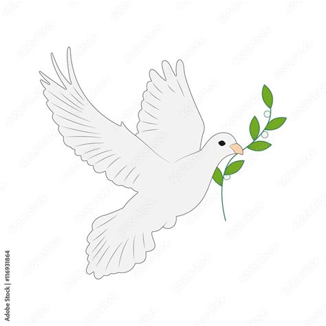 Weiße Taube als Symbol für Hoffnung und Frieden
