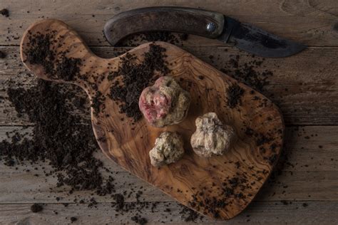 Weiße Trüffel auf Holzbrett