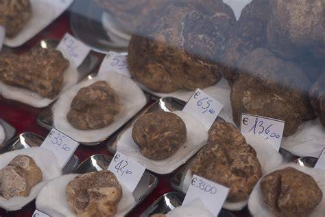 Weiße Trüffel auf Markt