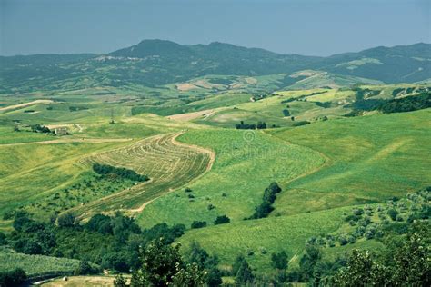 Weißer Trüffel und typische toskanische Landschaft