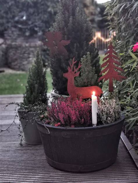 Weihnachtliche Dekoration mit Punschkeksen auf dem Keksteller