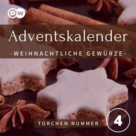 Weihnachtliche Gewürze (Zimt, Sternanis, Nelke, Vanille, Kardamom)