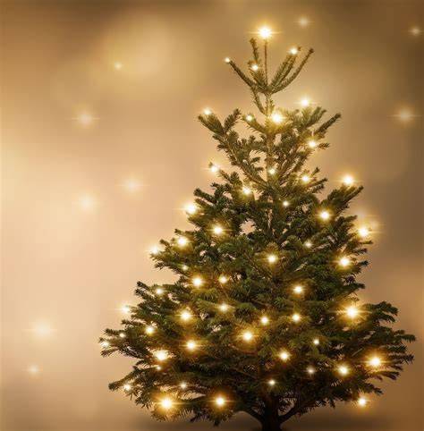 Weihnachtliche Stimmung mit frisch gebackenen Lebkuchen