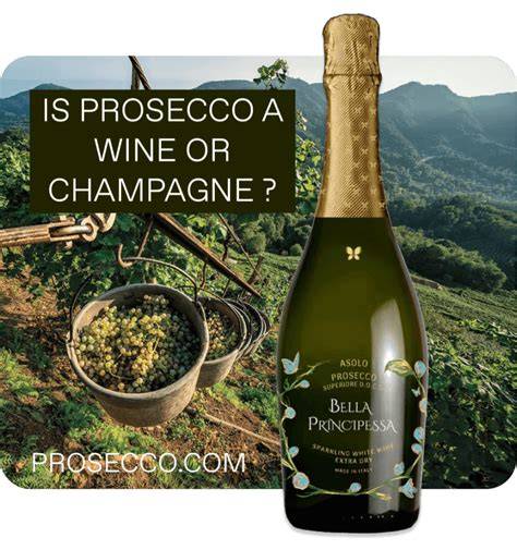 Weinberge und Flaschen Prosecco