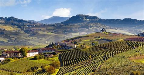 Weinberge und Kellerbesichtigung in der Barolo-Region