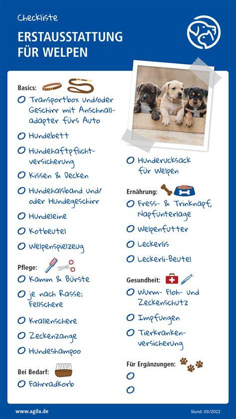 Welpen-Erstausstattung und Tagesablauf für Havaneser