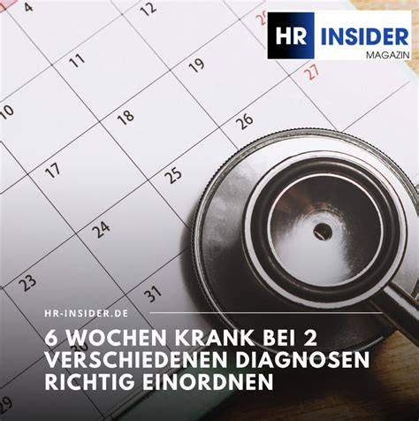 Welpen-Treffen bei 6 Wochen