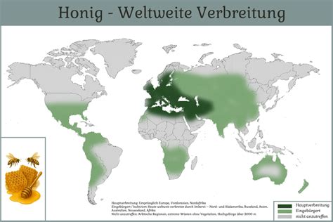 Weltkarte der Honigproduktion und wichtigsten Export-/Importländer