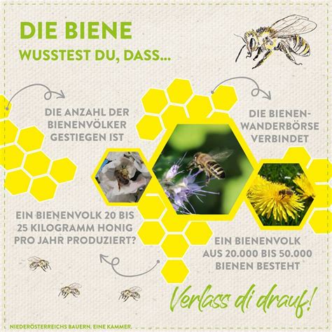 Weltkarte zur Bedeutung der Bienen in der Landwirtschaft