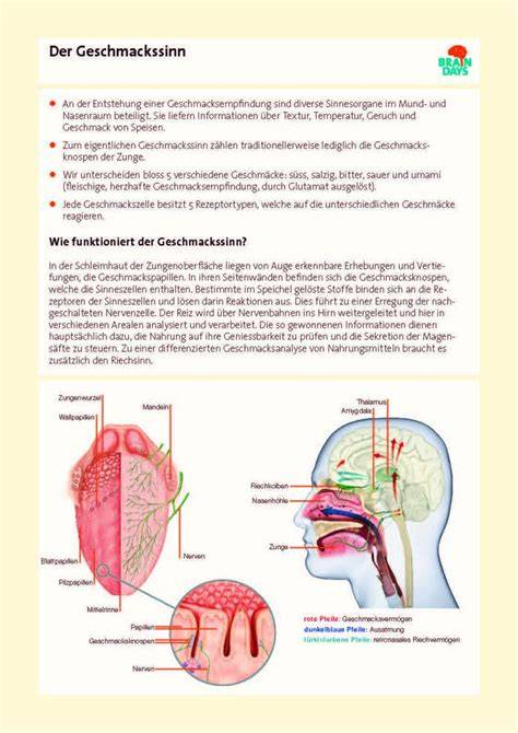 Wie Vanille den Geschmackssinn beeinflusst und beim Zuckersparen hilft