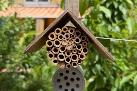 Wildbienenhotel im naturnahen Garten