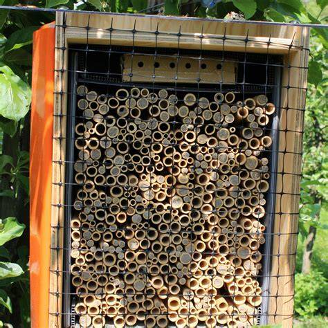 Wildbienenhotel und blühender Garten