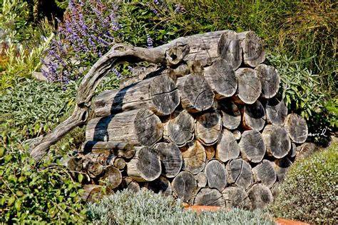Wildbienenschutz: Totholz im naturnahen Garten