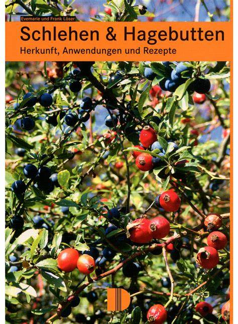 Wildfrüchte: Hagebutten, Schlehen und Weißdornbeeren