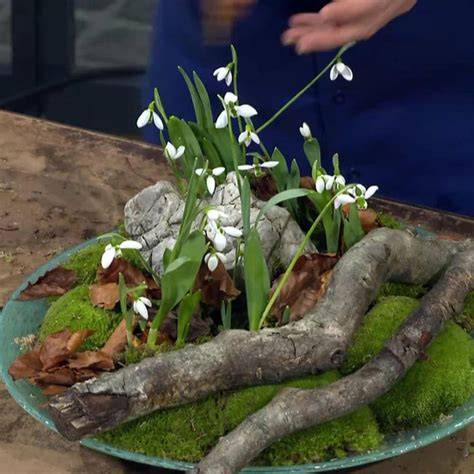 Winterliche Dekoration: Schokolade-Tannenbäume