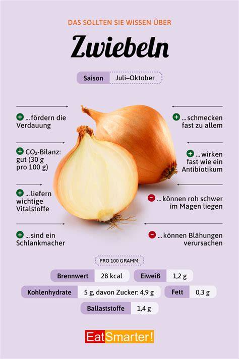 Wirkstoffe der Zwiebel