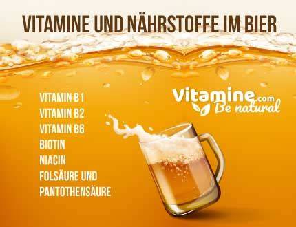 Wirkstoffe im Bier: Hopfen, Malz, Polyphenole, Vitamin C, B-Vitamine