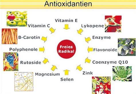 Wirkstoffe im Honig: Enzyme, Aminosäuren, Vitamine und Antioxidantien im Fokus
