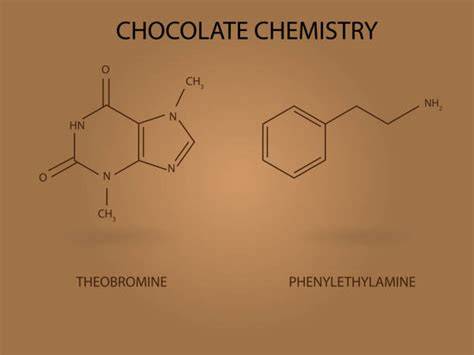 Wirkstoffe in Schokolade: Theobromin, Phenylethylamin und Antioxidantien