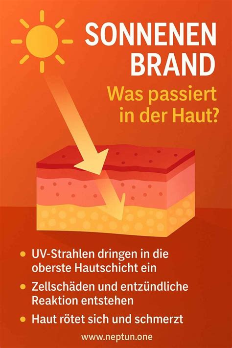 Wirkung auf Haut: Sonnenbrand und Wundheilung