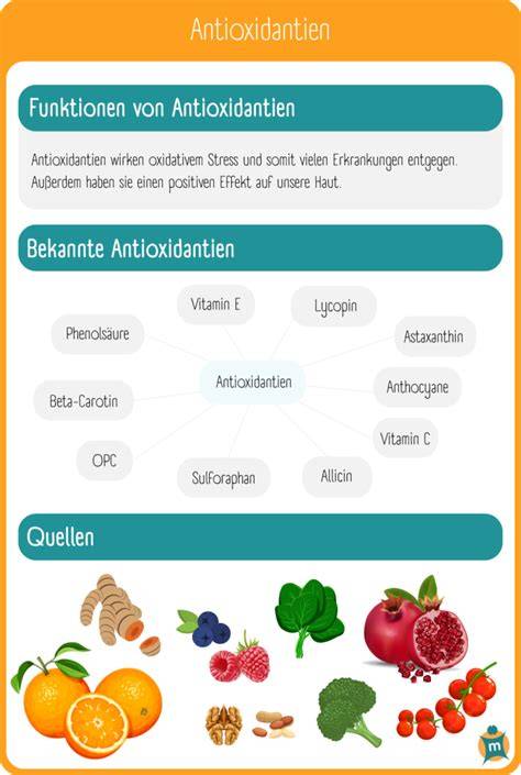 Wirkung von Antioxidantien auf Zellgesundheit