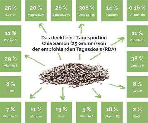 Wirkung von Chia-Samen auf Sättigung, Verdauung und Blutzucker