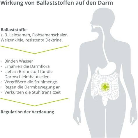 Wirkung von Gluten auf den Darm