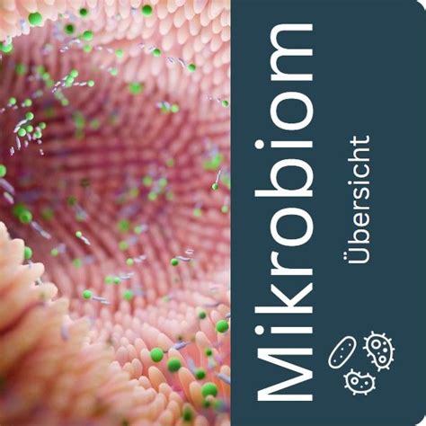 Wirkung von Süßstoffen auf das Darmmikrobiom