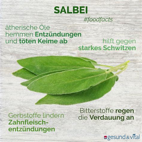 Wirkung von Salbei auf Verdauung und Immunsystem