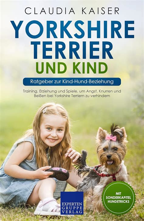 Yorkshire Terrier im Training - Erziehung und Sozialisation