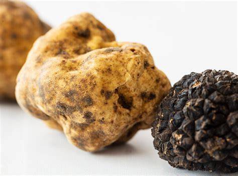 Yuzu-Früchte und schwarze Trüffel nebeneinander