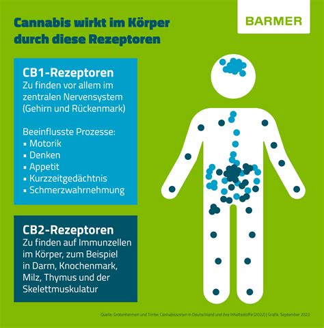 Zauberpilztrip: Risiko und Nebenwirkungen