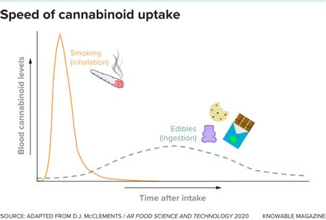 Zeitleiste Wirkungseintritt Edibles vs. Inhalation