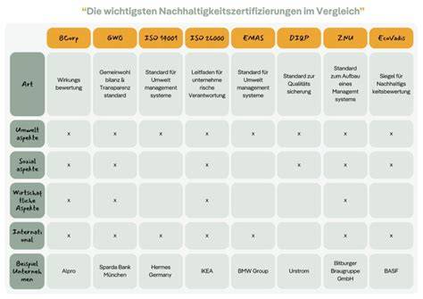 Zertifizierung und V-Label: Übersicht