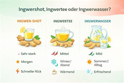 Zubereitungsschritte Ingwertee, Infografik