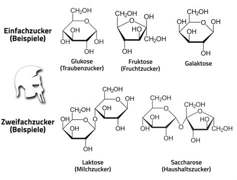 Zuckerarten im Obst (Fruktose, Glukose, Saccharose) - schematische Darstellung