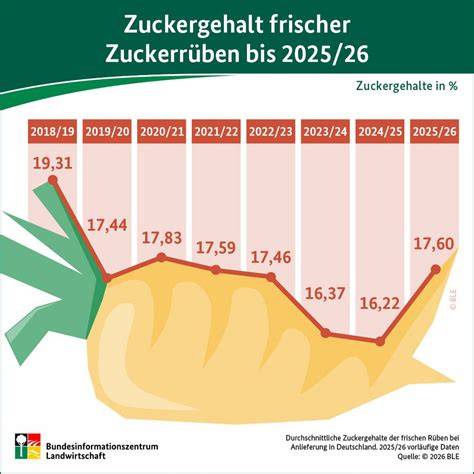 Zuckergehalt Kinderkekse: Infografik