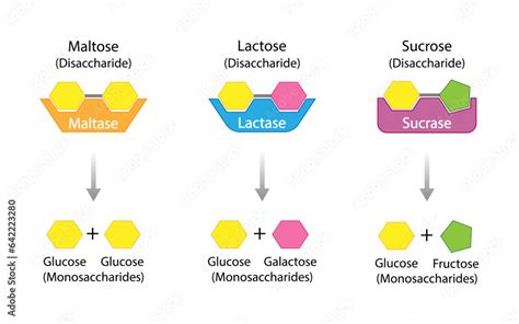 Zuckergehalt in Tabletten: schematische Darstellung von Sucrose- und Glucosesirup-Anteilen
