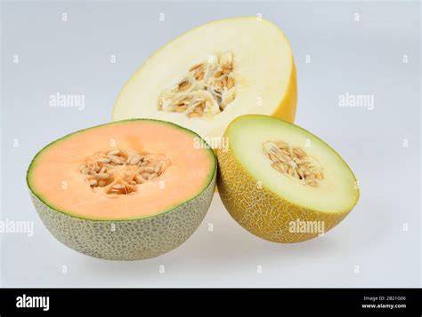 Zuckermelonen-Vielfalt (Cantaloupe, Galia, Honigmelone)
