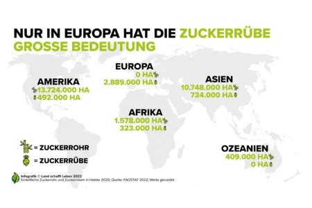 Zuckerrübe und Zuckerrohr im Vergleich (Infografik)