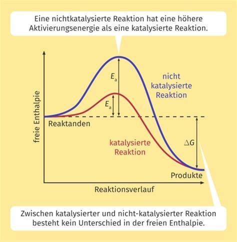 Zusammengefasste Visualisierung: Zuckerverbrennung mit und ohne Katalysator
