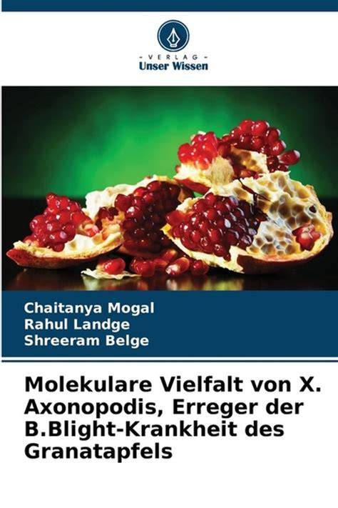 Zusammensetzung von Karamell: Molekulare Vielfalt