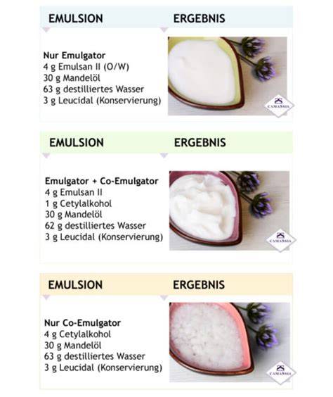 Zusatzstoffe: Verdickungsmittel und Emulgatoren im Dressing