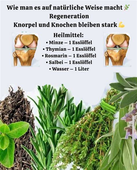 Zutaten: Urwaldkakao, Kräuter, Blaubeeren, Minze und Salbei