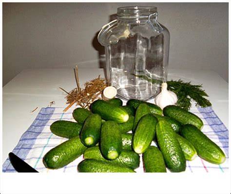 Zutaten für Gewürzgurken im Glas: Gurken, Essig, Salz, Dill, Knoblauch, Senfkörner
