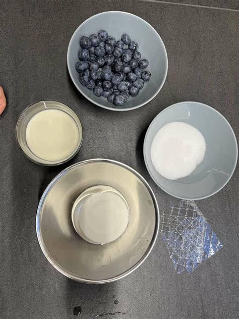 Zutaten für Heidelbeercreme Dessert als Infografik