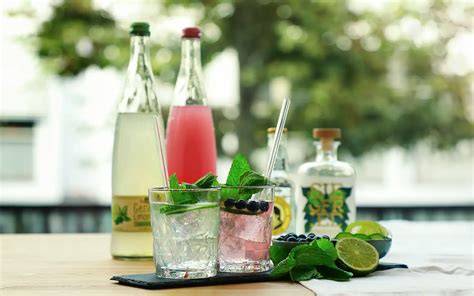 Zutaten für zuckerfreie Gin Cocktails: Limette, Kräuter, Erythrit