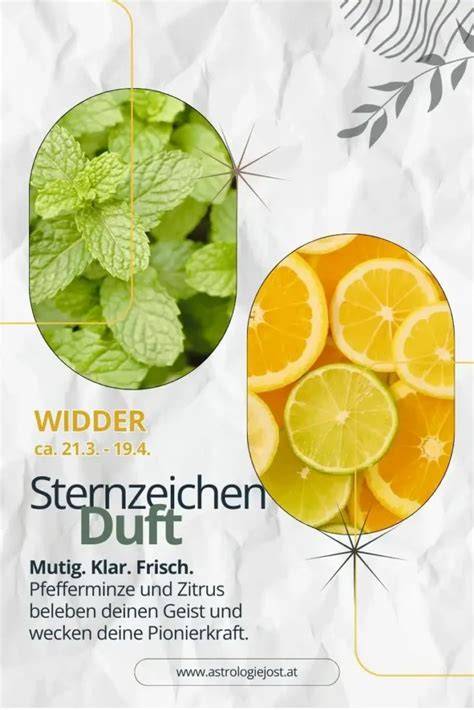 Zutaten-Infografik: Renekloden, Gelierzucker, Zitrus, Pfefferminze, Schnaps