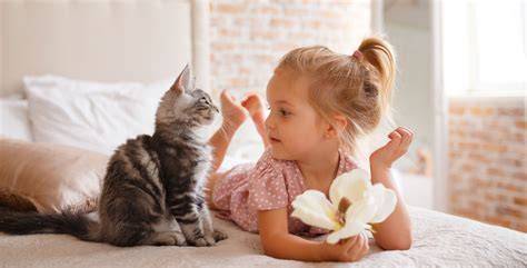 Zwergdackel in der Familie: Zusammenleben mit Kindern und Katzen