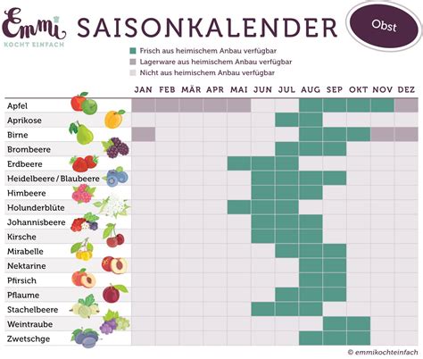 Zwetschgen: Saisonkalender und ideale Erntezeitpunkte